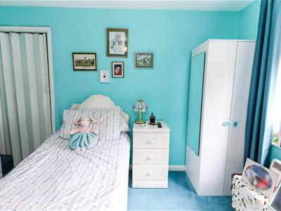 Picture 11